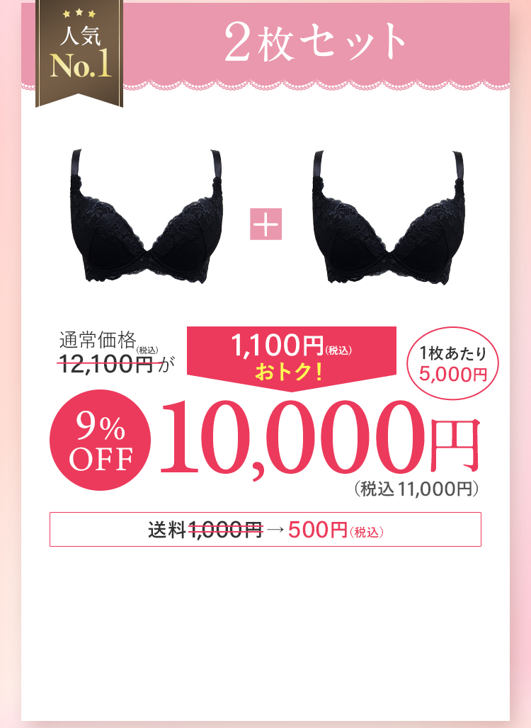 人気No.1 2枚セット カラー組み合わせ自由 通常価格6,950円／1枚あたり5,500円 9％OFF 11,000円(税込) 送料無料