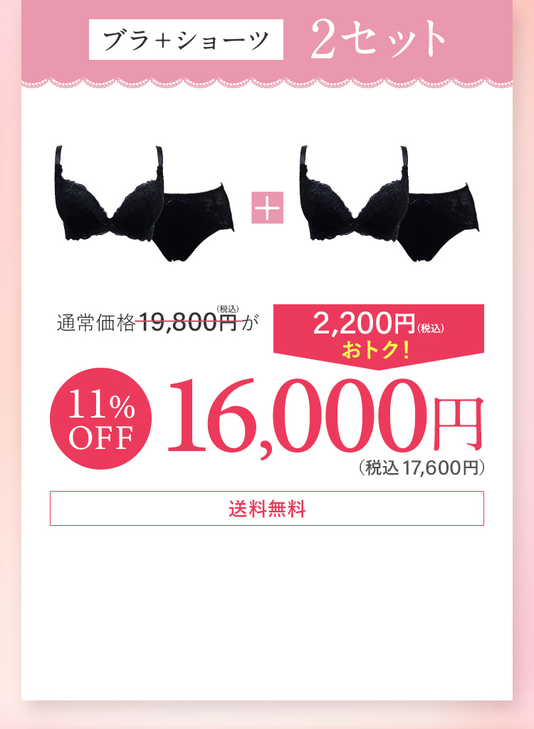 ブラ＋ショーツ2セット カラー組み合わせ自由 通常価格19,800円(税込) 11％OFF 17,600円(税込) 送料無料