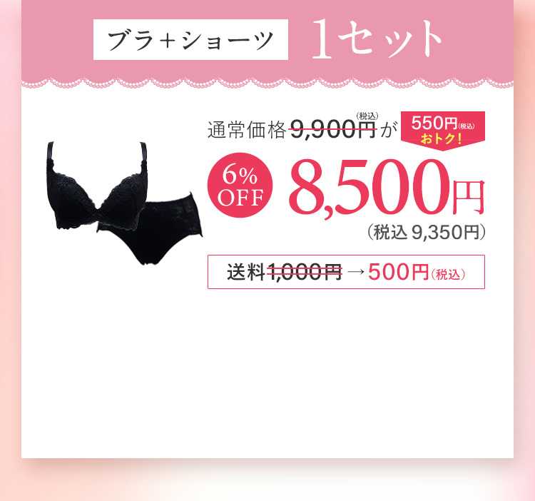 ブラ＋ショーツ1セット 通常価格9,900円(税込) 6％OFF 9,350円(税込) 送料無料