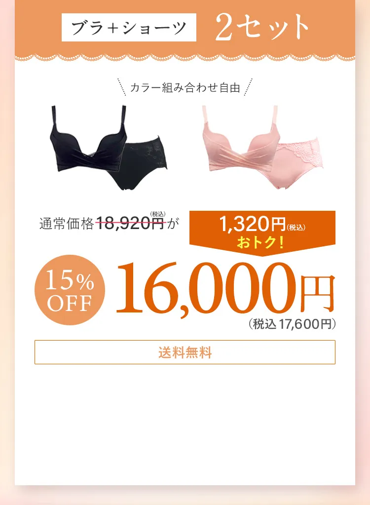 PG-Bra ノンワイヤー 2枚セット Lサイズ PGブラ｜育乳・補正におすすめのナイトブラ｜ノンワイヤー【Belletia