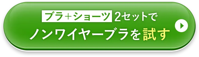 ブラ+ショーツ2セットでPGブラを試してみる
