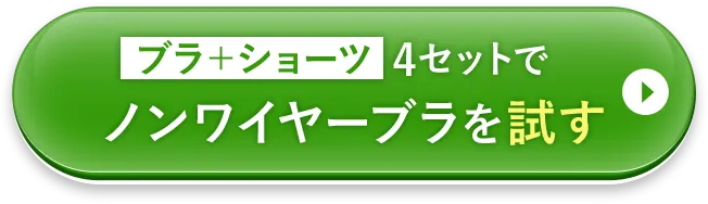ブラ+ショーツ4セットでPGブラを試してみる