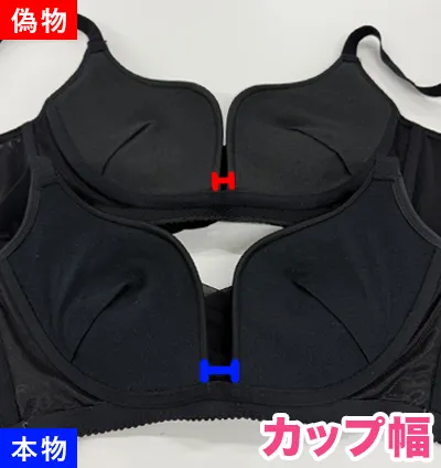 偽物写真04