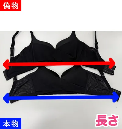 偽物写真08